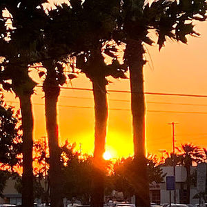 Meet your Posher, Eden